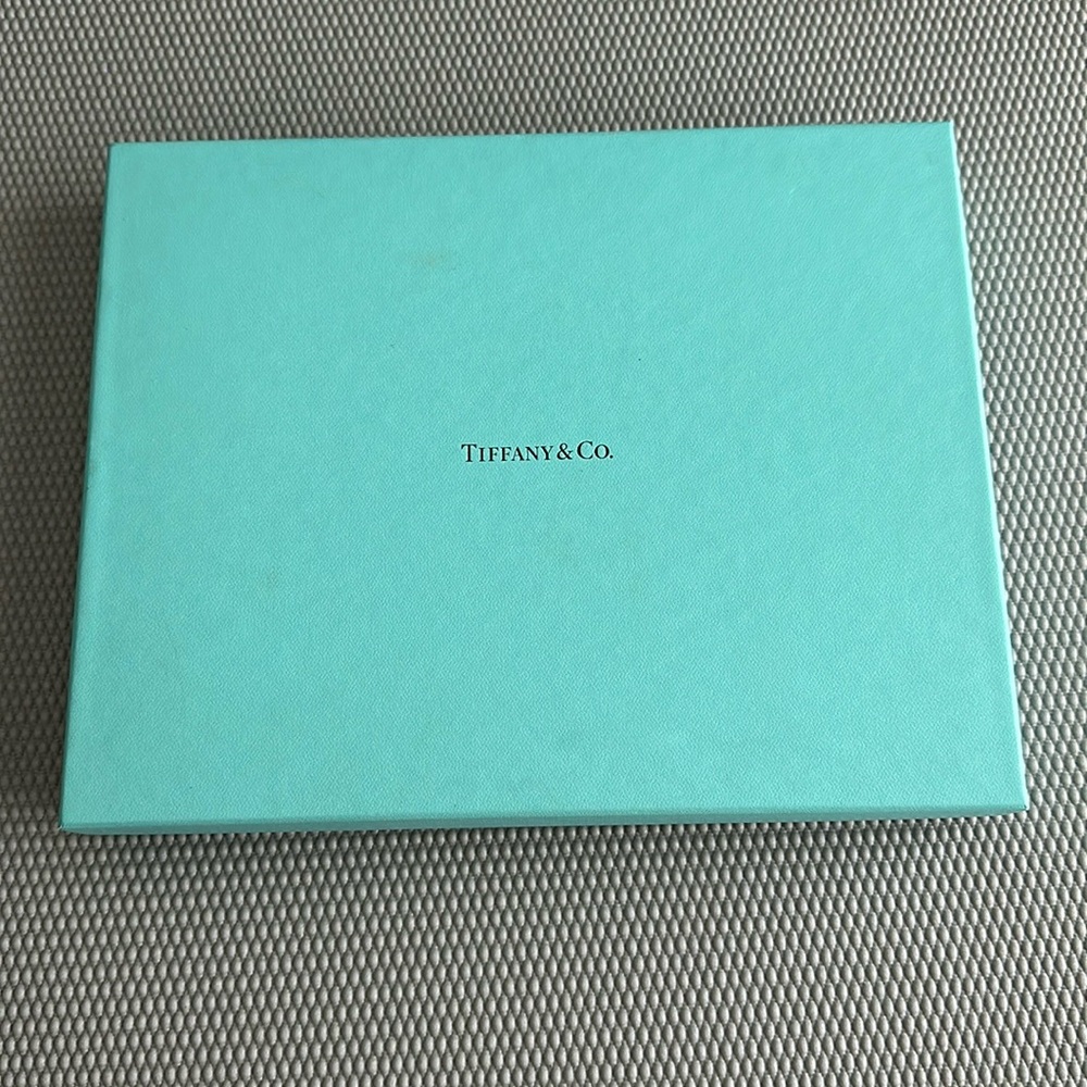 Tiffany&Co iPad case 10.5